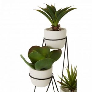 Stadium Set Of 3 Succulents With Metal Stand